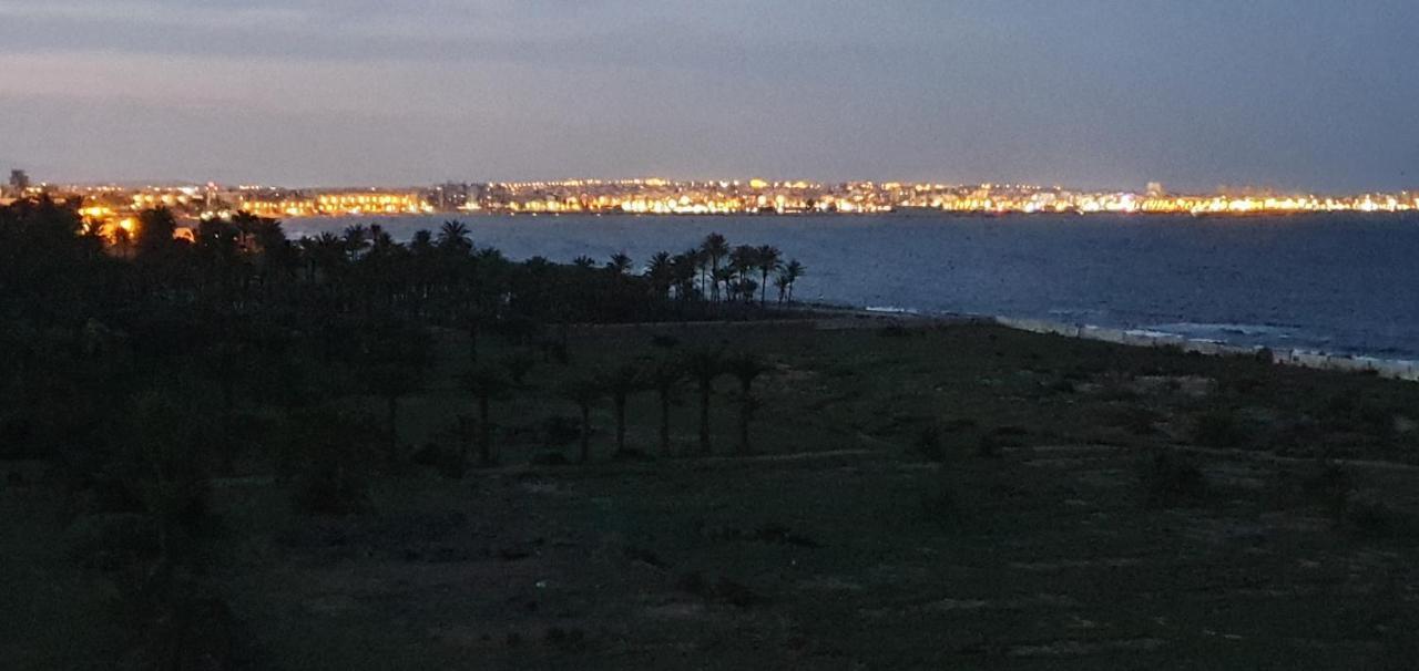 Pleamar Punta Prima Lejlighed Torrevieja Eksteriør billede